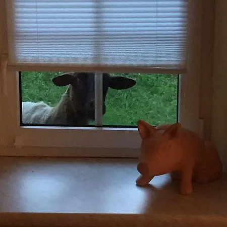 Oetscherwiese Lackenhof