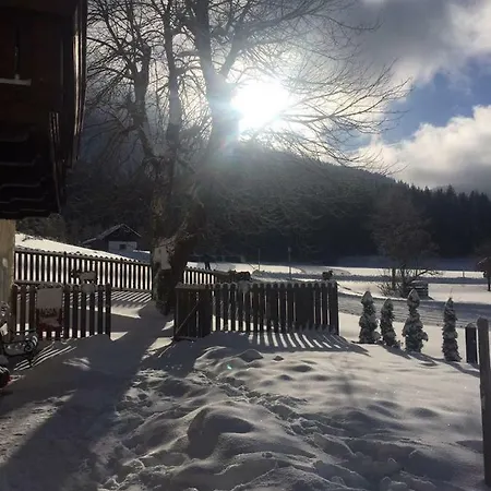 Appartement Oetscherwiese *