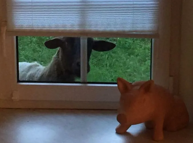 Oetscherwiese Lackenhof