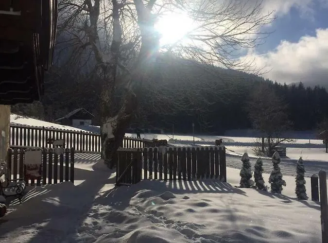 Διαμέρισμα Oetscherwiese *